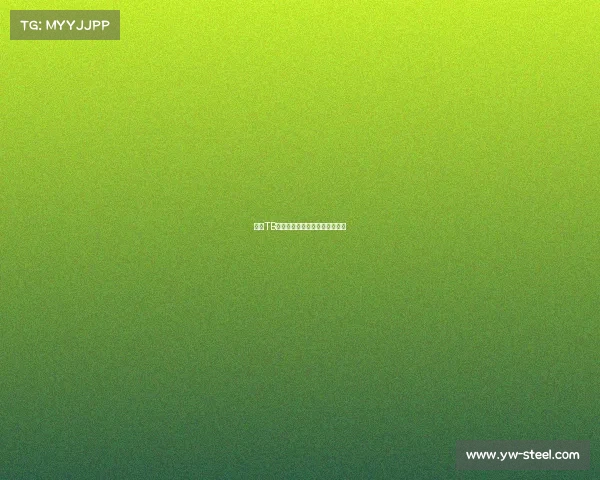 沈阳TB电竞军团：荣耀背后的淬炼之路